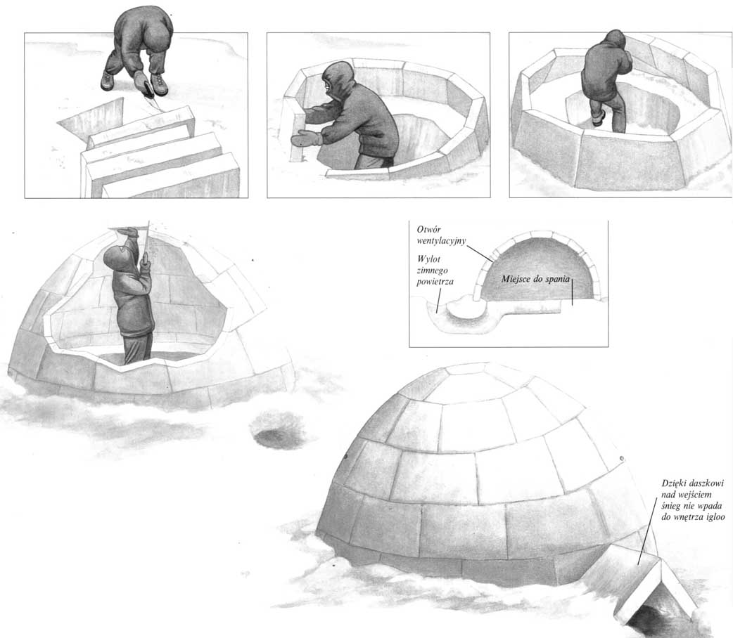 Śnieżne schronienia - Budowa igloo